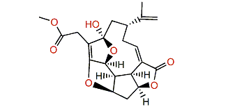 Pambanolide A